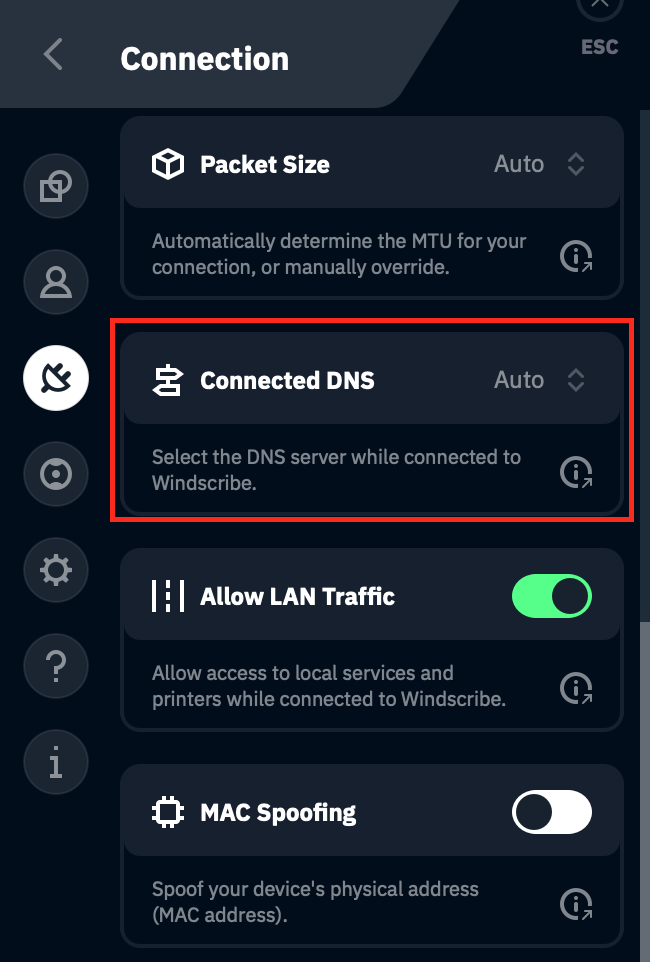 Custom DNS section