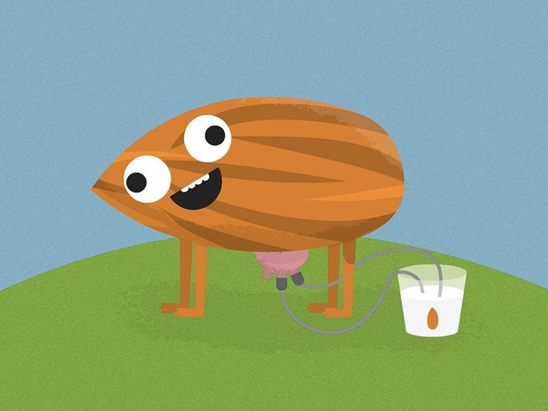 Dribbble Shk  0004 25